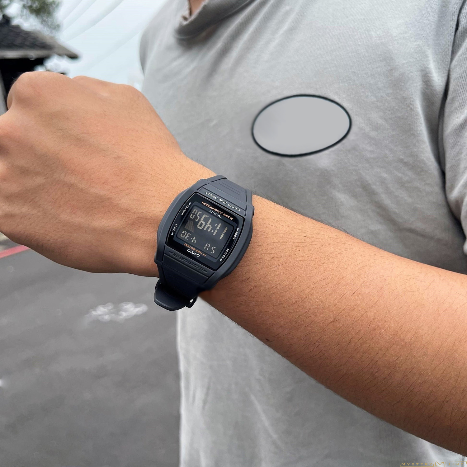 Casio W-201-1B